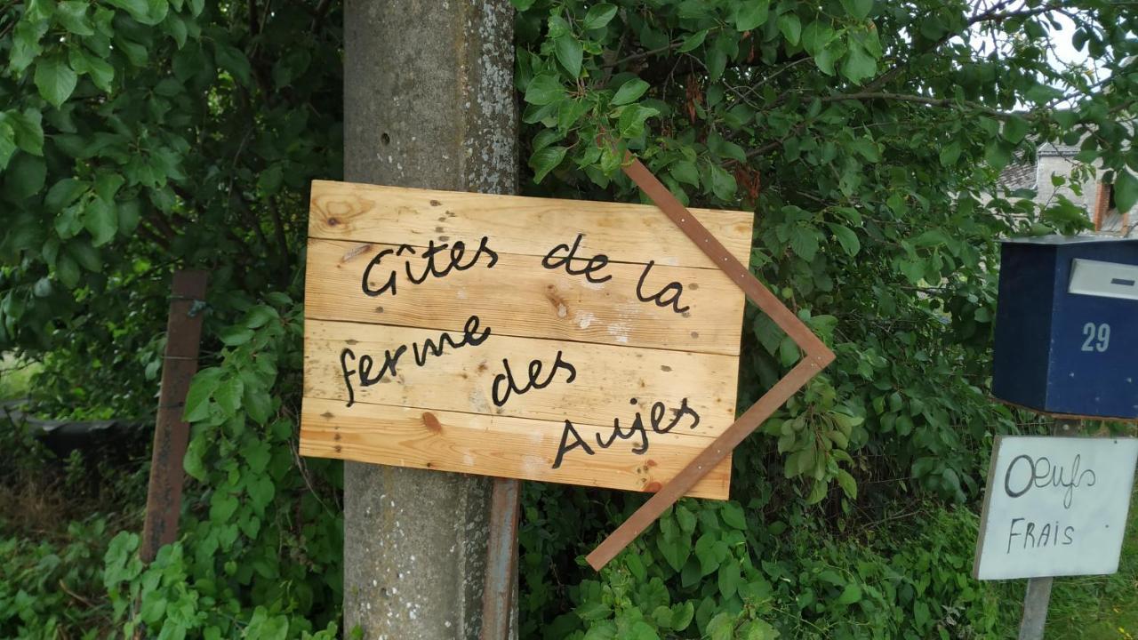 Gite Familial Ferme Des Aujes Falaen Onhaye Exteriör bild