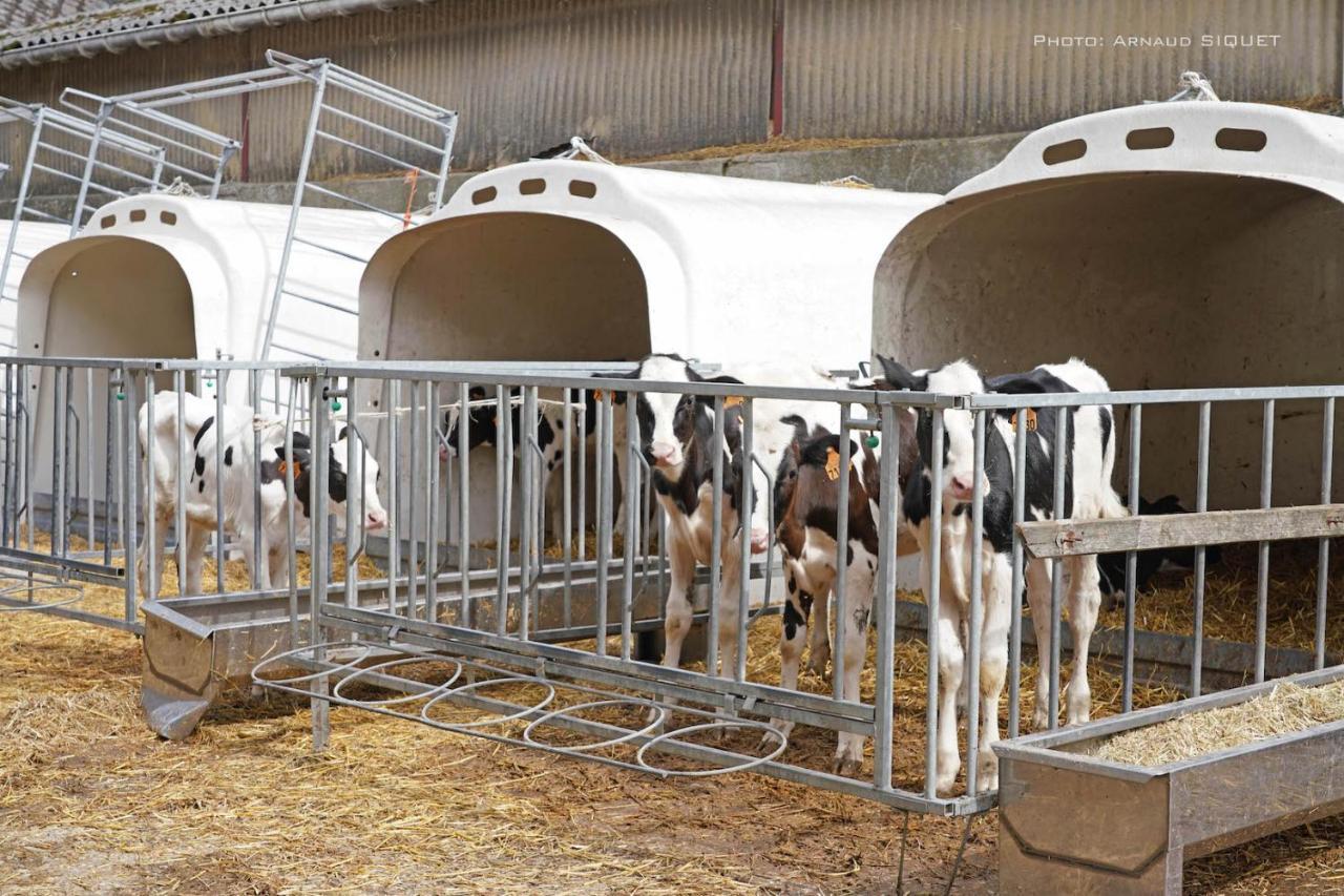 Gite Familial Ferme Des Aujes Falaen Onhaye Exteriör bild