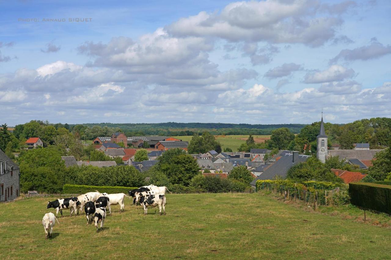 Gite Familial Ferme Des Aujes Falaen Onhaye Exteriör bild